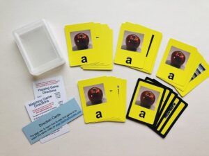 Yellow cards with pictures of objects on them.